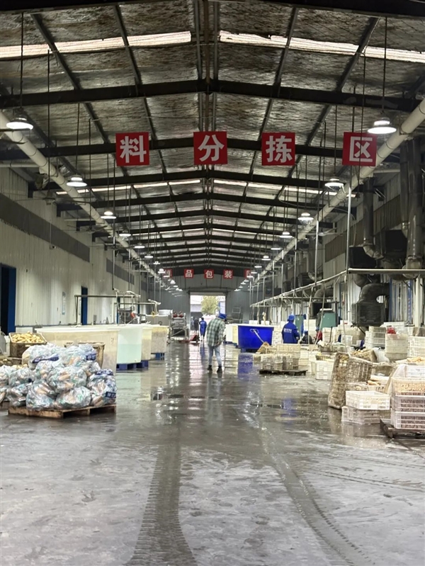 、甘肃的虾 农业大摸底太精彩了AG真人澳门百家家乐新疆的海鲜(图2)