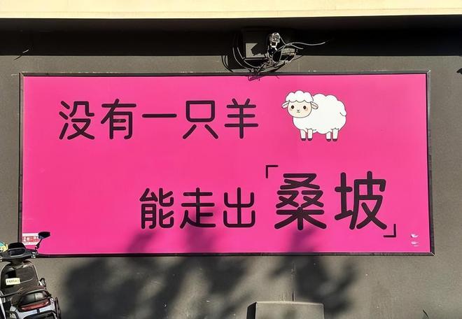 莉只要60元棉鞋卖断货代购赚得盆满钵满AG真人游戏第一品牌桑坡村有多便宜巴宝(图4)